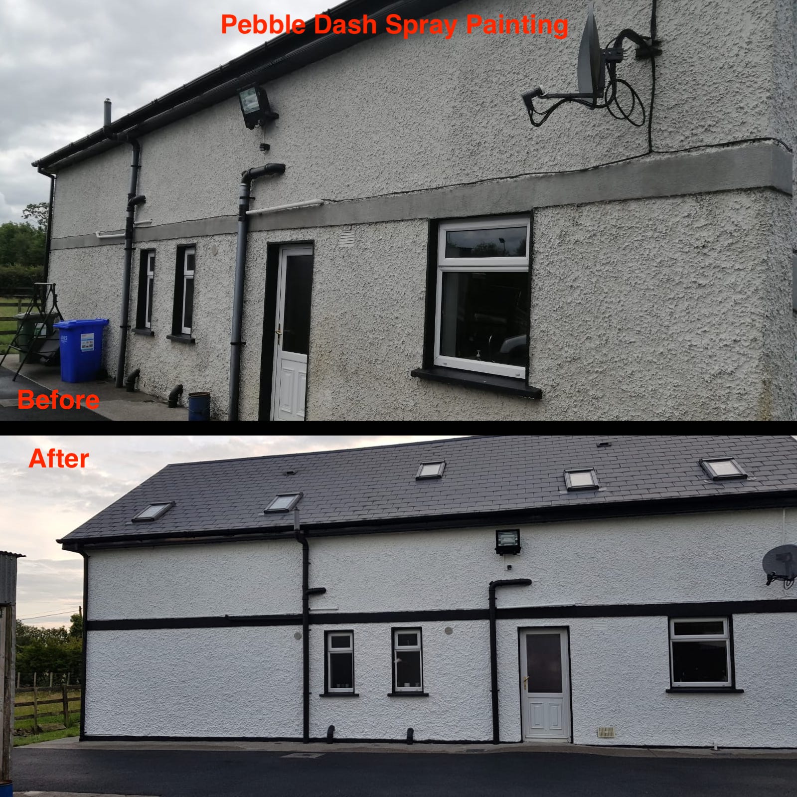Ceiling and wall painting, Portlaoise